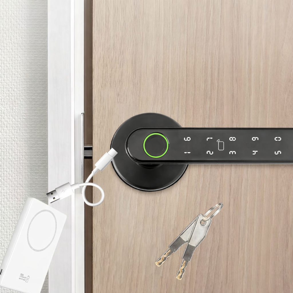 Smarta dörrlås med fingeravtryck, fjärrstyrning via app, upplåsning med lösenord, IC-kort och traditionell nyckel.